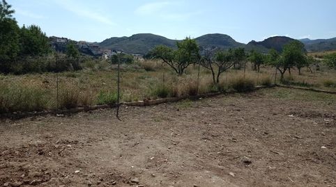 OLULA DEL RÍO  ALMERÍA . SOLAR URBANO.