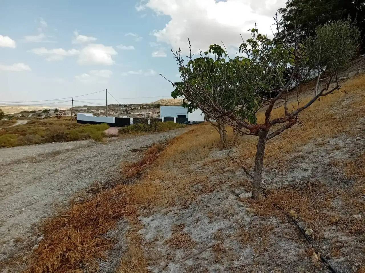 Industrial land for sale in Orce