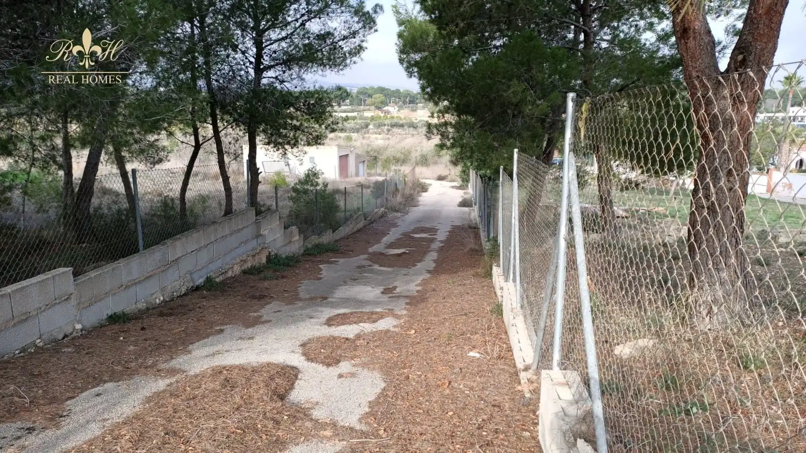 Terreny rústic en venda a Borret