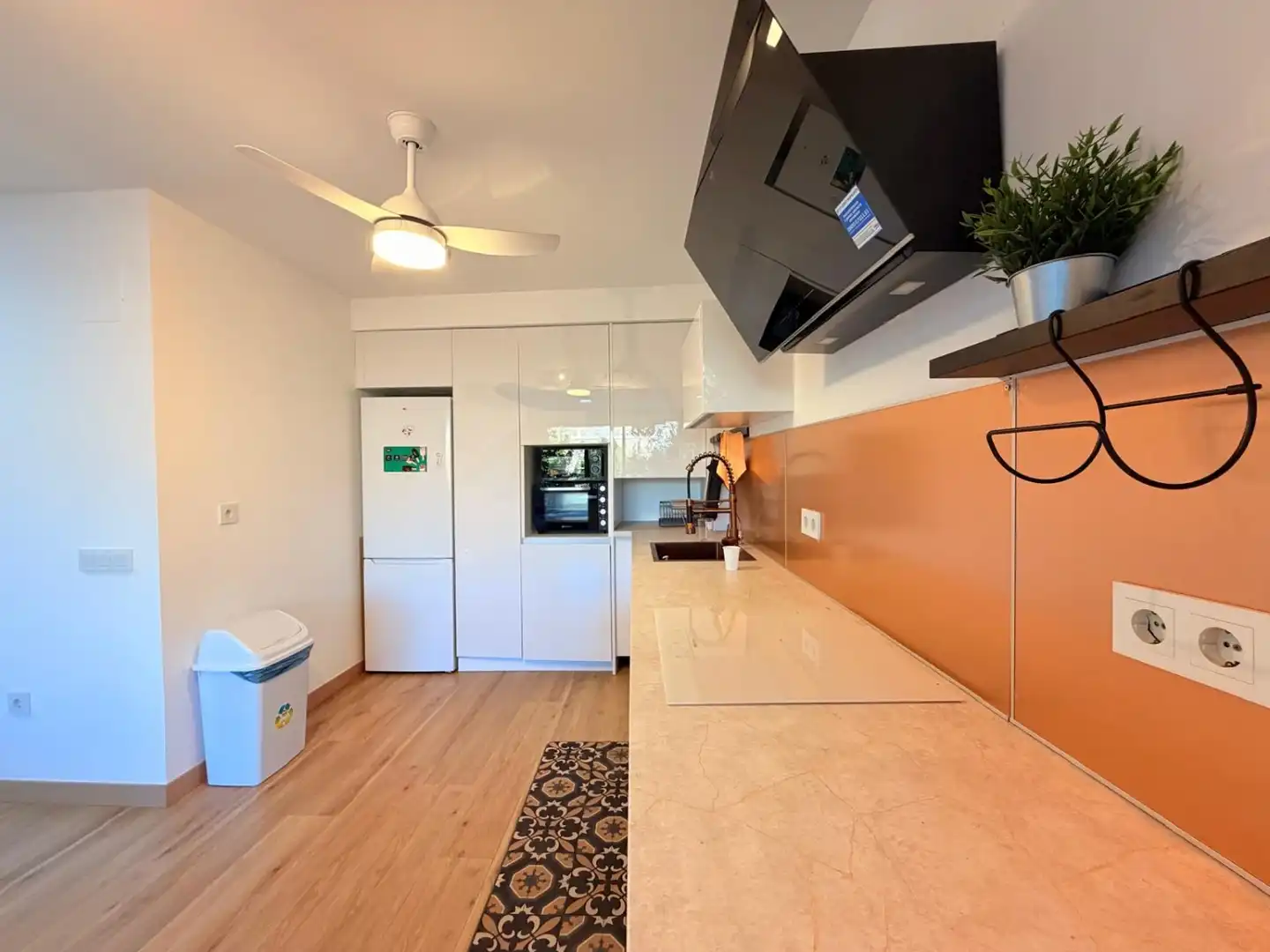 Cocina de Apartamento de alquiler en Sur