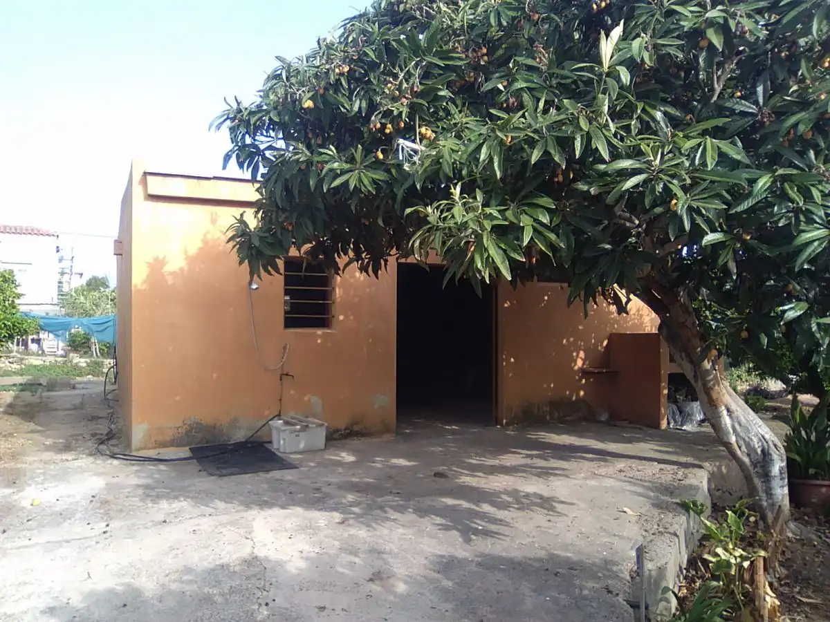 Vista exterior de Finca rústica en venta en Sagunto / Sagunt