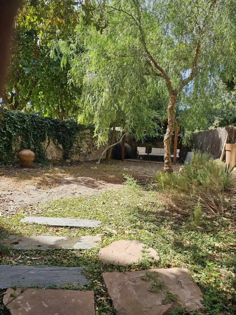 Chalet con jardín en venta en Calle d'Amadeu Vives, imagen 21