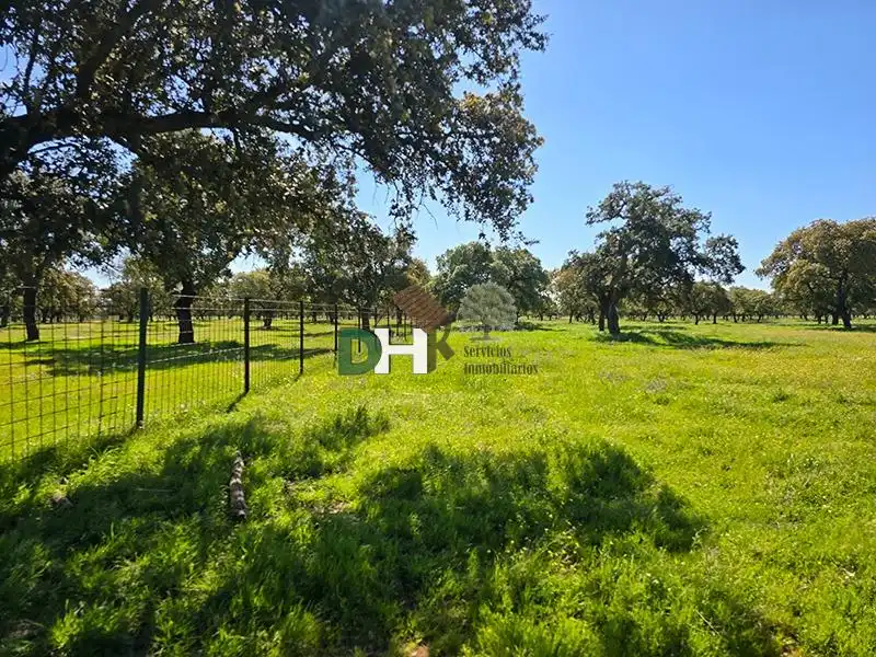 Terreni e lotti in vendita a Carretera de Sevilla - Los Montitos, imagen 5