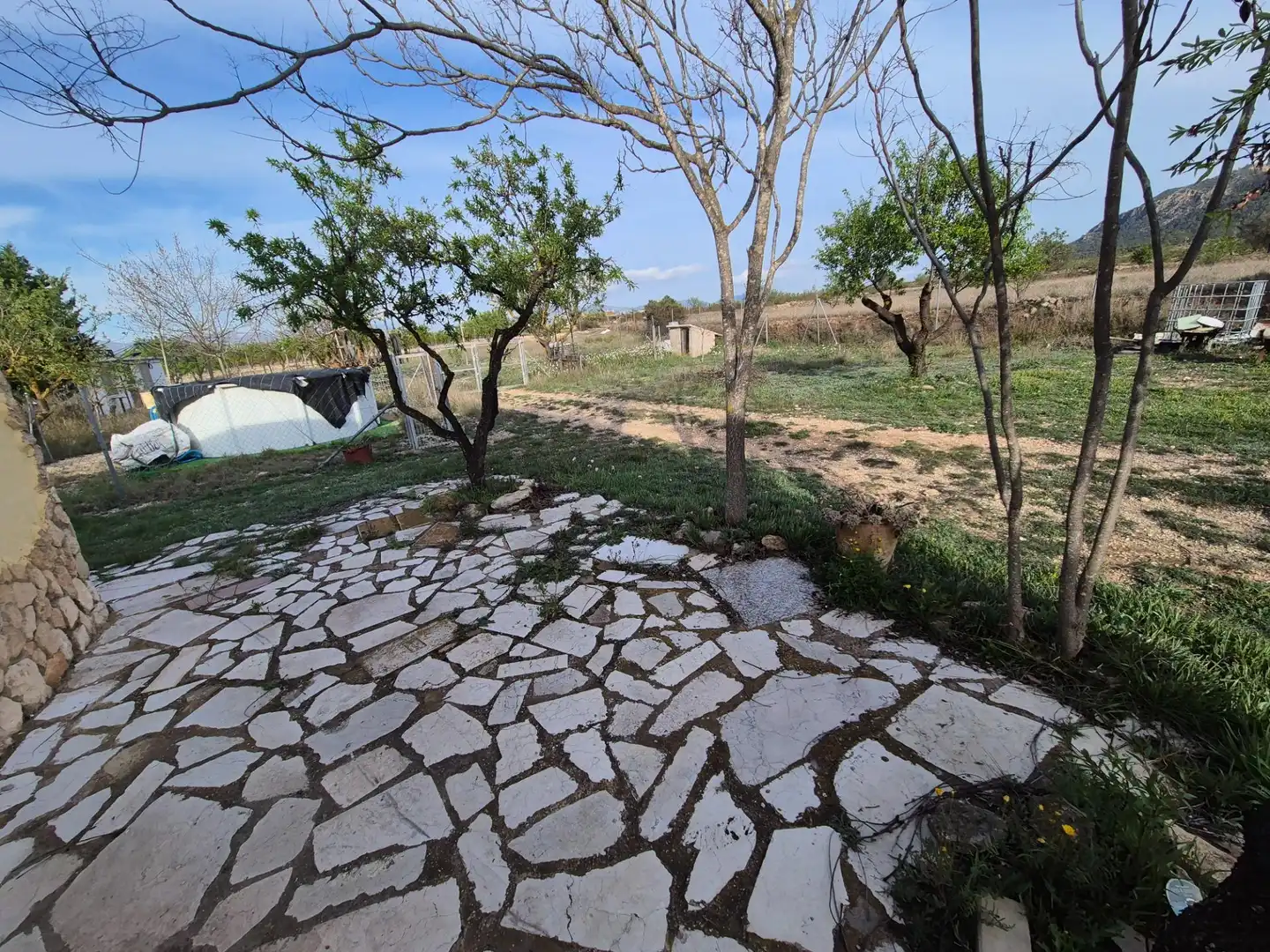 Jardín de Casa o chalet en venta en Salinas