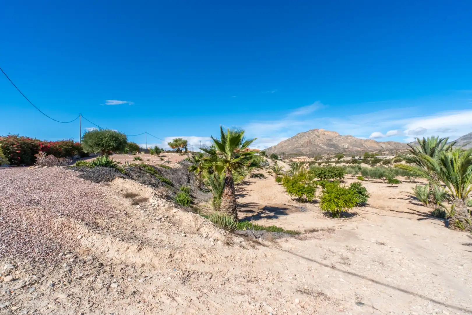 Casa o xalet en venda en Albatera amb Aire condicionat, Calefacció i Jardí privat