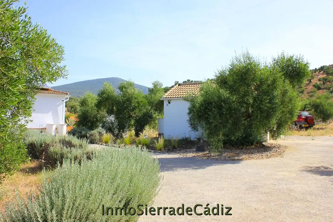 Casa rústica amb piscina en venda a Algodonales, imagen 43