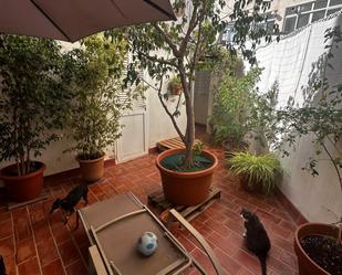 Terrace of Flat for sale in  Palma de Mallorca  with Terrace and Balcony