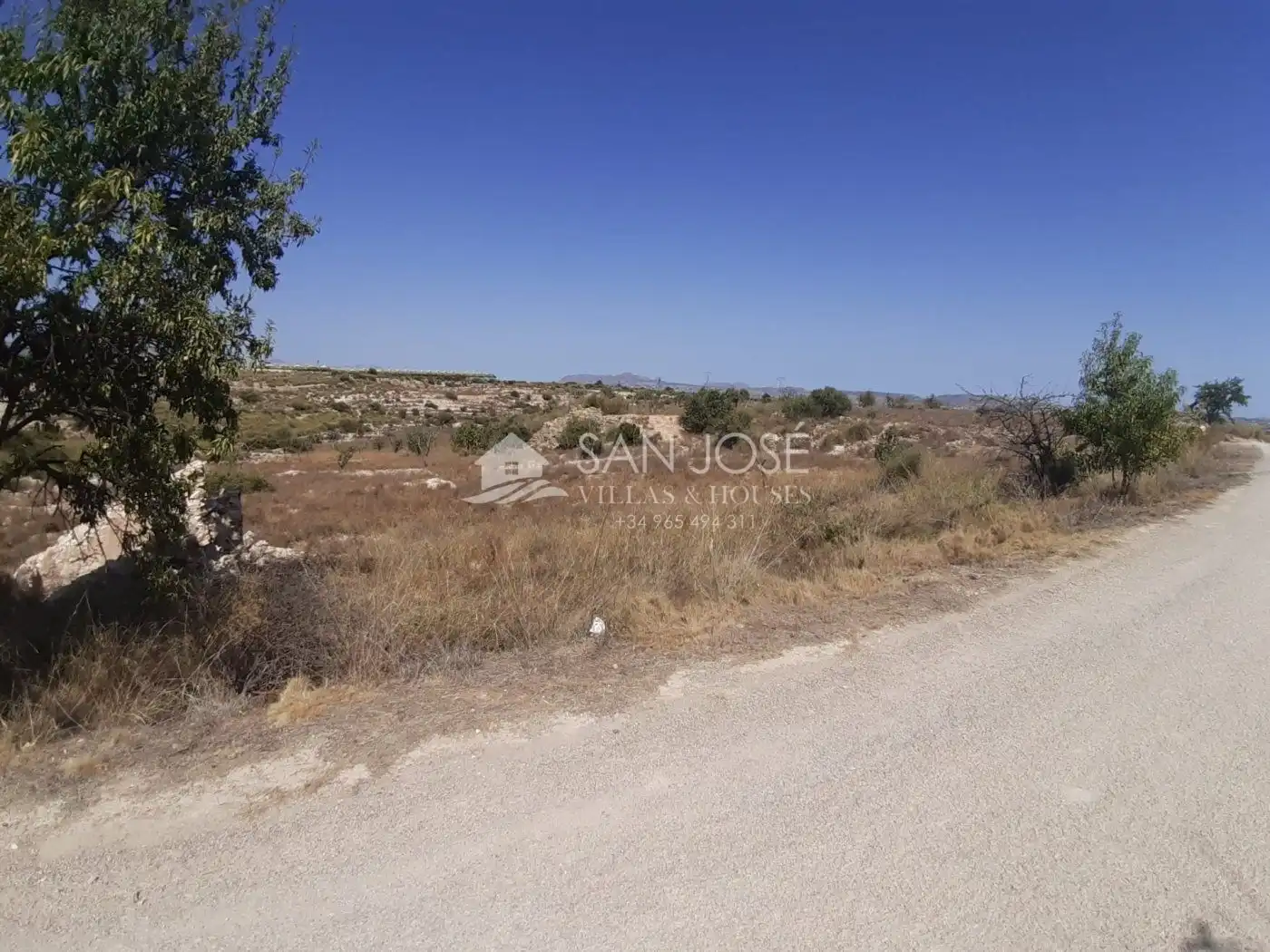Residential land for sale in Novelda, imagen 6