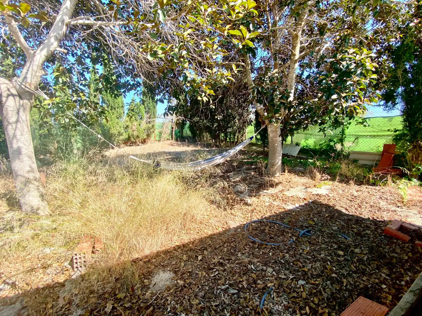 Terrenos y solares en venta en San Miguel de Salinas, imagen 10