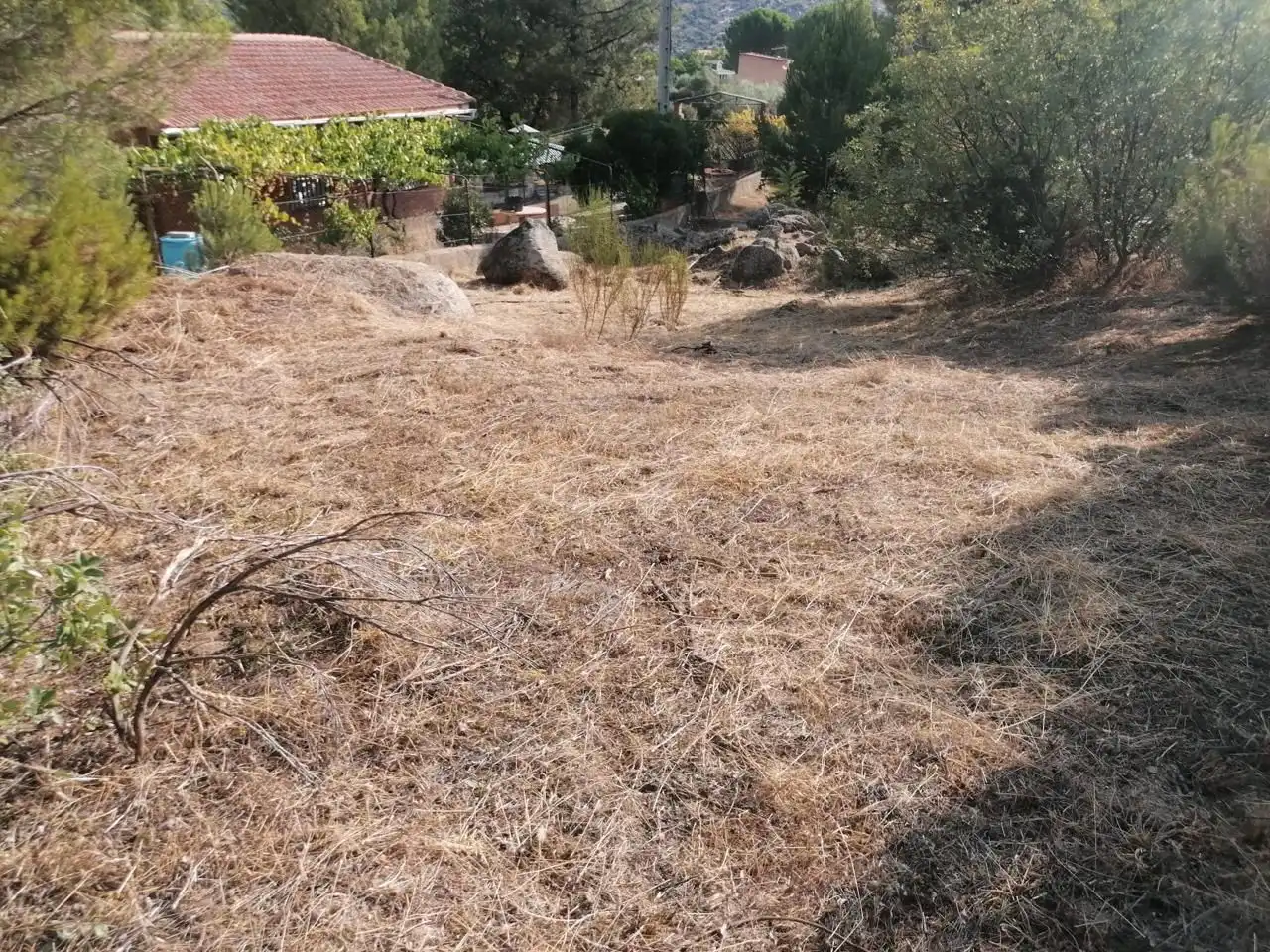 Terreni e lotti in vendita a El Tiemblo, imagen 6
