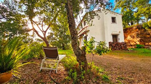 Foto 4 de Finca rústica en venta en Castaño del Robledo, Huelva