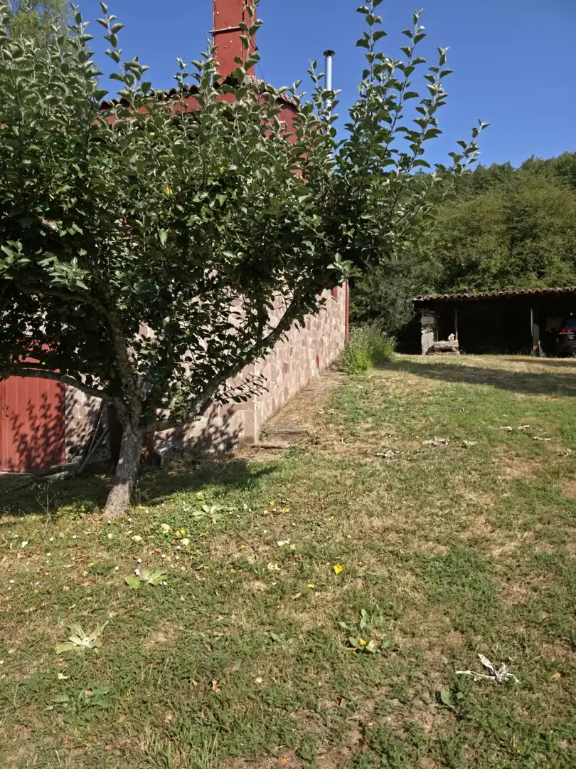 Jardín de Casa o chalet en venta en Cervera de Pisuerga, Palencia