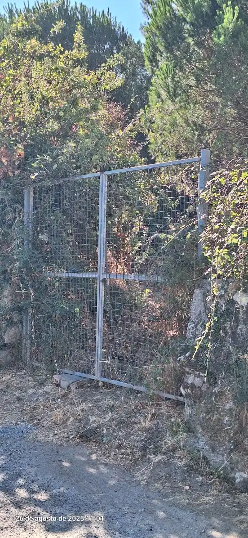 Jardín de Residencial en venta en Ourense Capital 