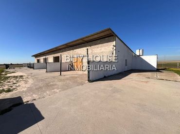 Terreno rústico en venta en Torrejón de Velasco