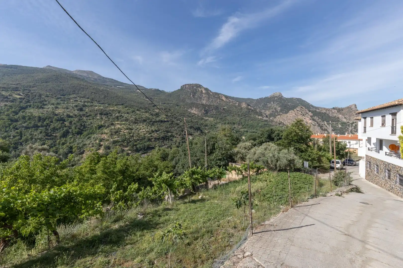 Lands and plots for sale in Carretera de Maitena, imagen 26