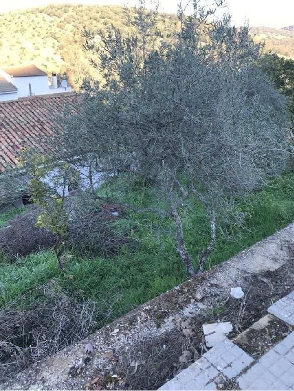 Terreno en venta en El Bosque