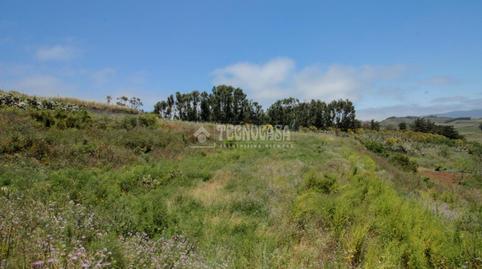 Photo 3 of Land for sale in El Chorrillo - San Isidro  - Llano Blanco, El Rosario