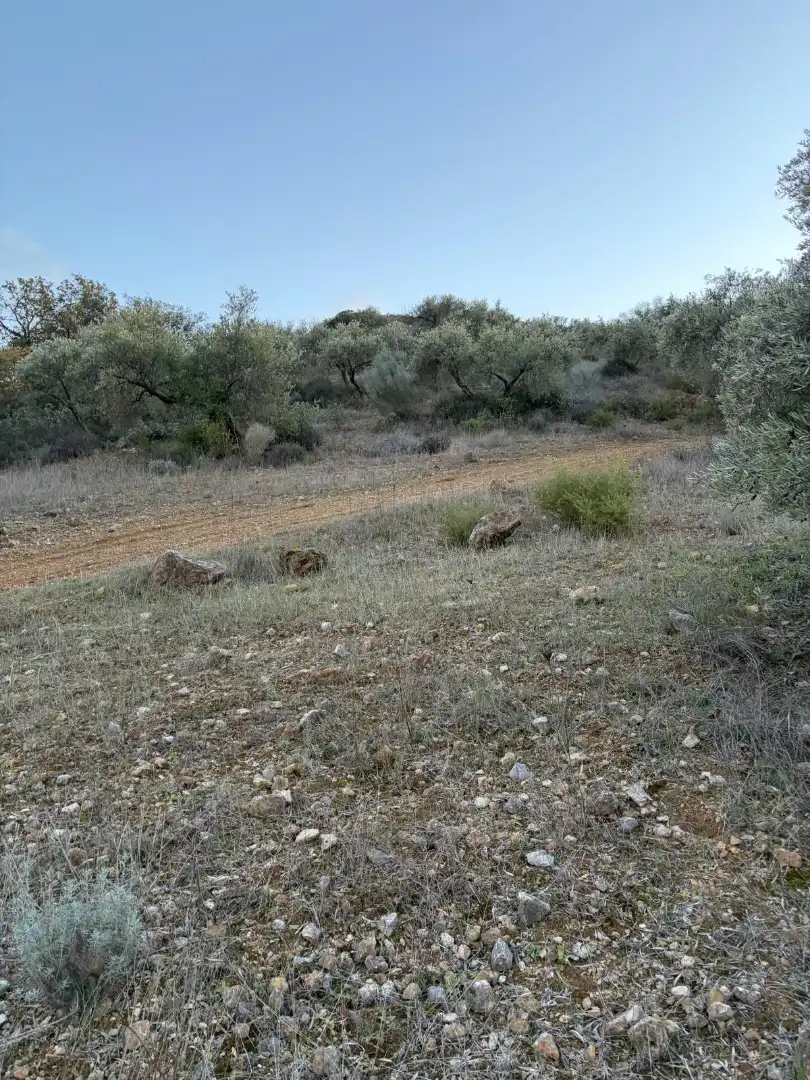 Terreny rústic en venda a Priego de Córdoba, imagen 2