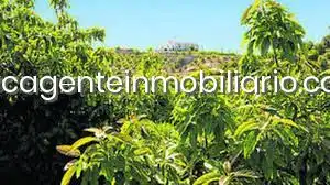 Casa rústica amb piscina en venda a San Enrique - Guadiaro -  Pueblo Nuevo, imagen 3
