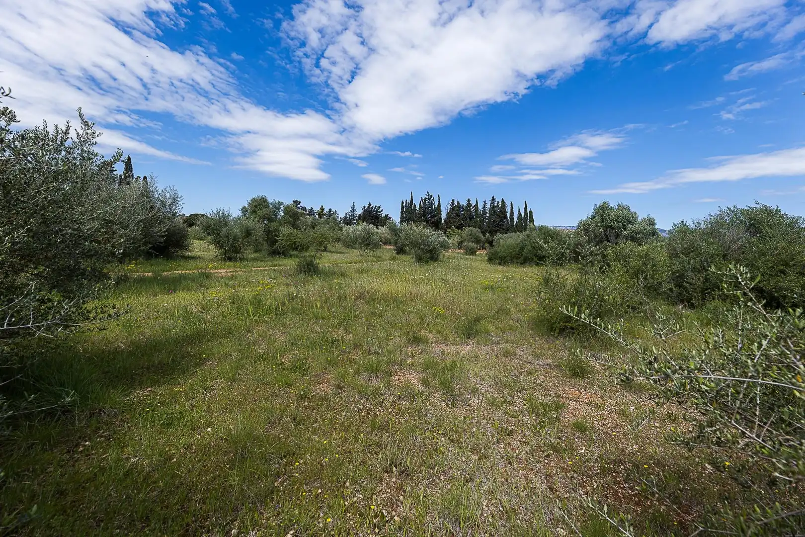 Terreny rústic en venda a Santa María del Camí, imagen 12