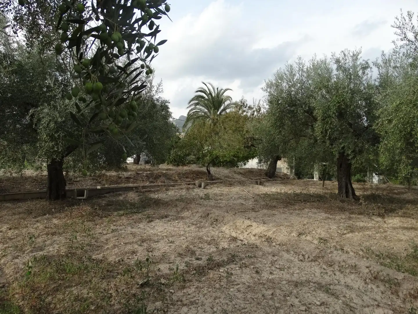 Villa avec piscine à vendre à Moratalla, imagen 17