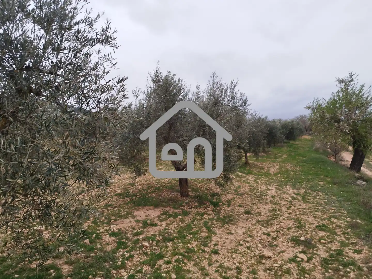Rural land for sale in Requena, imagen 3