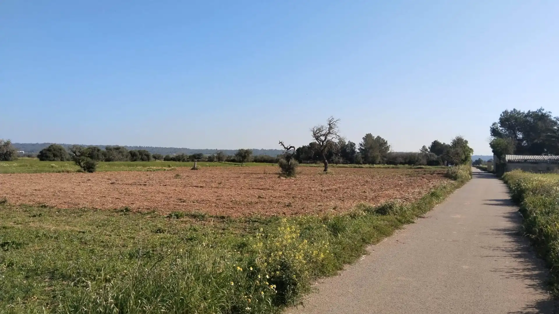 Terreno en venta en Campos