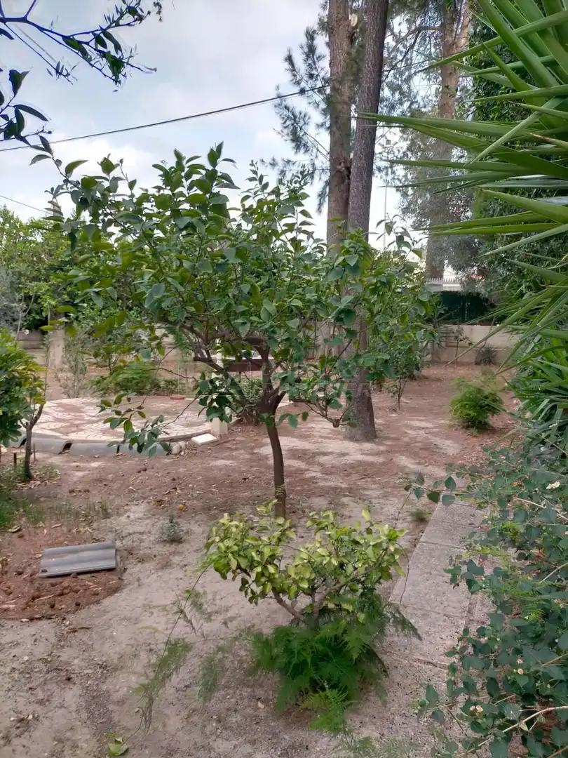 Casa o xalet en venda en Orihuela amb Jardí privat, Terrassa i Traster