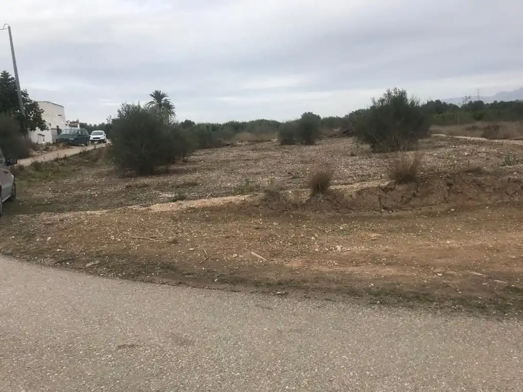 Terreno rústico en venta en Benferri, imagen 3
