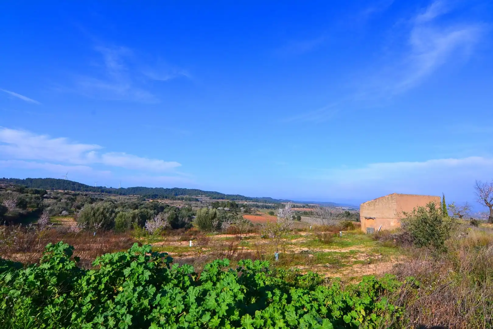 Rural land for sale in Gandesa, imagen 11