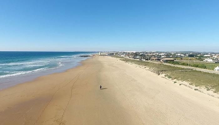 Vista exterior de Finca rústica en venda en Vejer de la Frontera amb Jardí privat i Traster