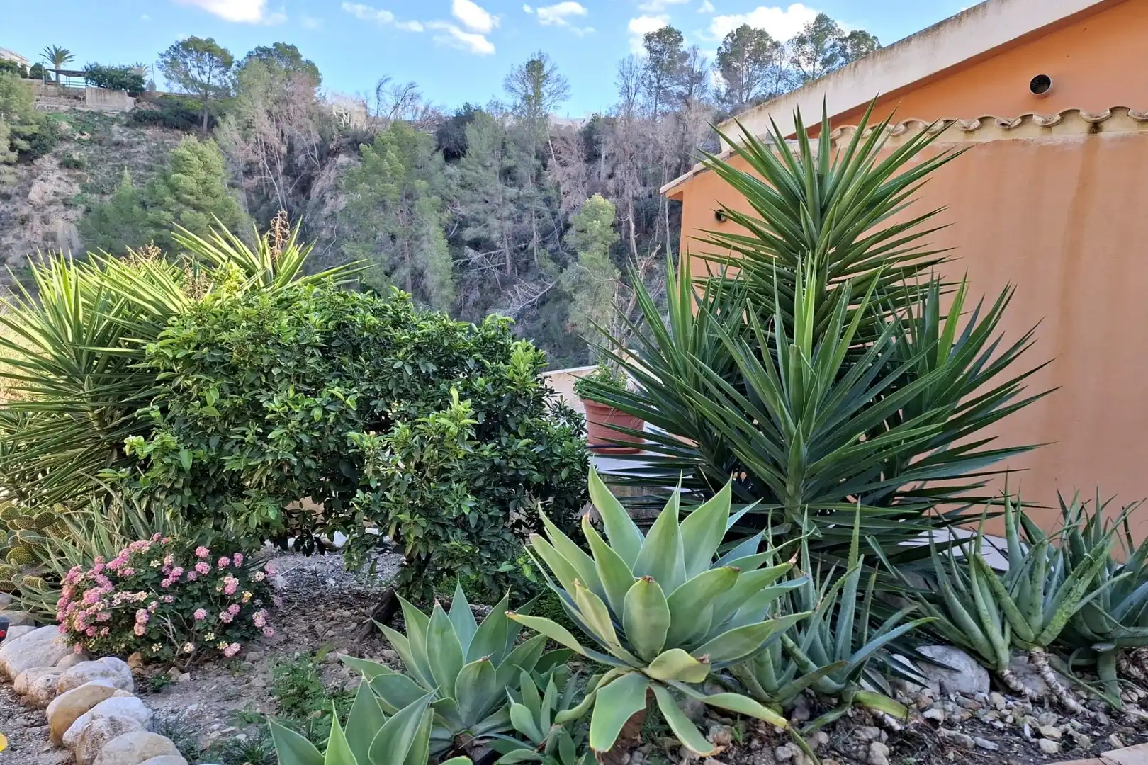 Jardín de Casa o chalet en venta en Xirles