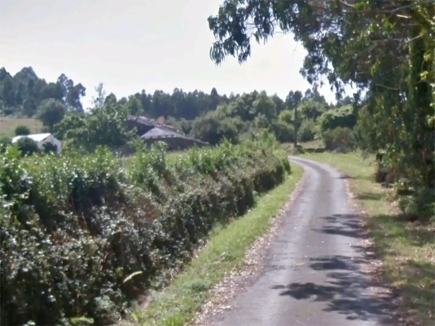 Planta baixa en venda en Ortigueira