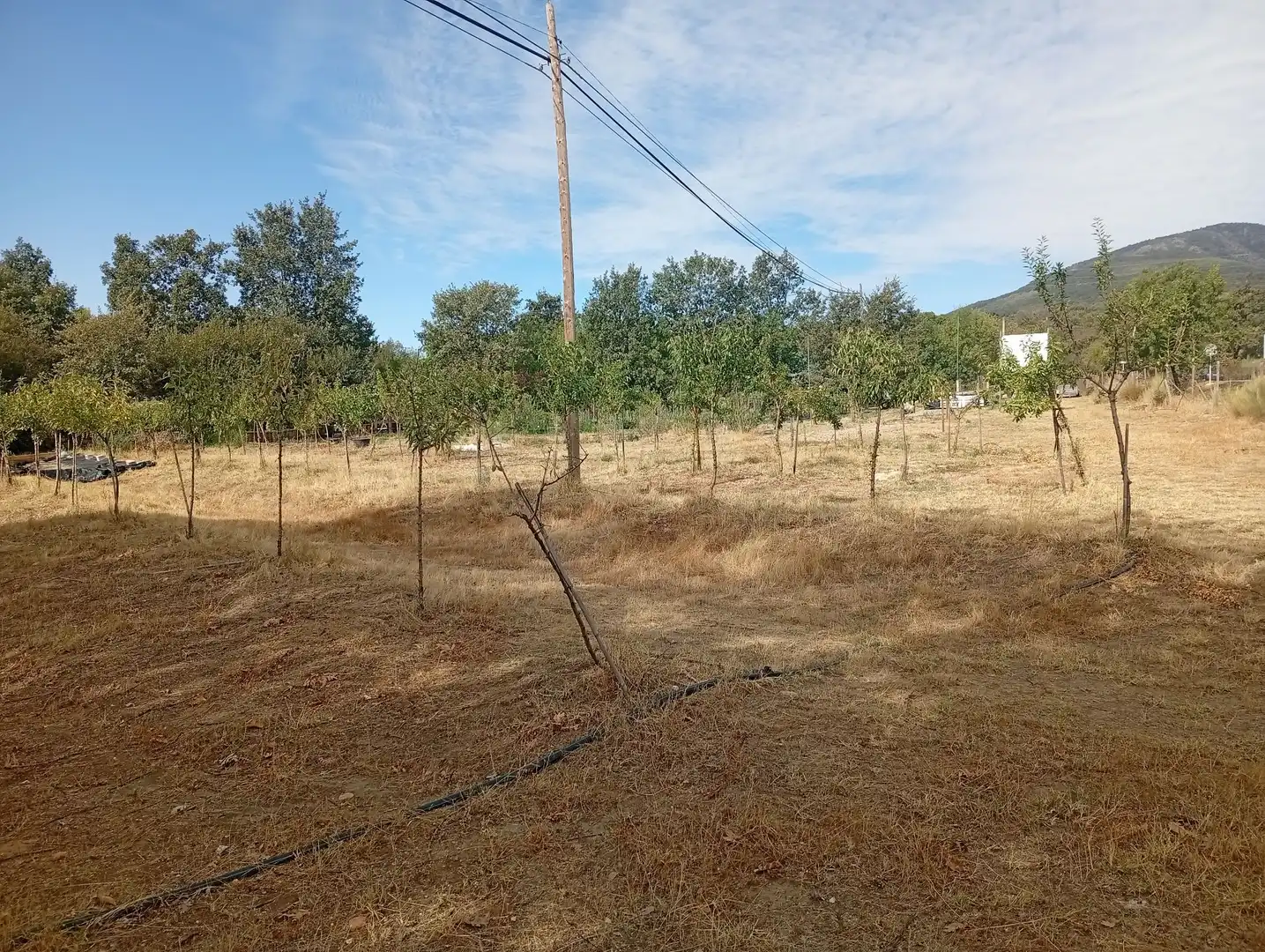 Terrain rustique à vendre à Villanueva de la Vera, imagen 37