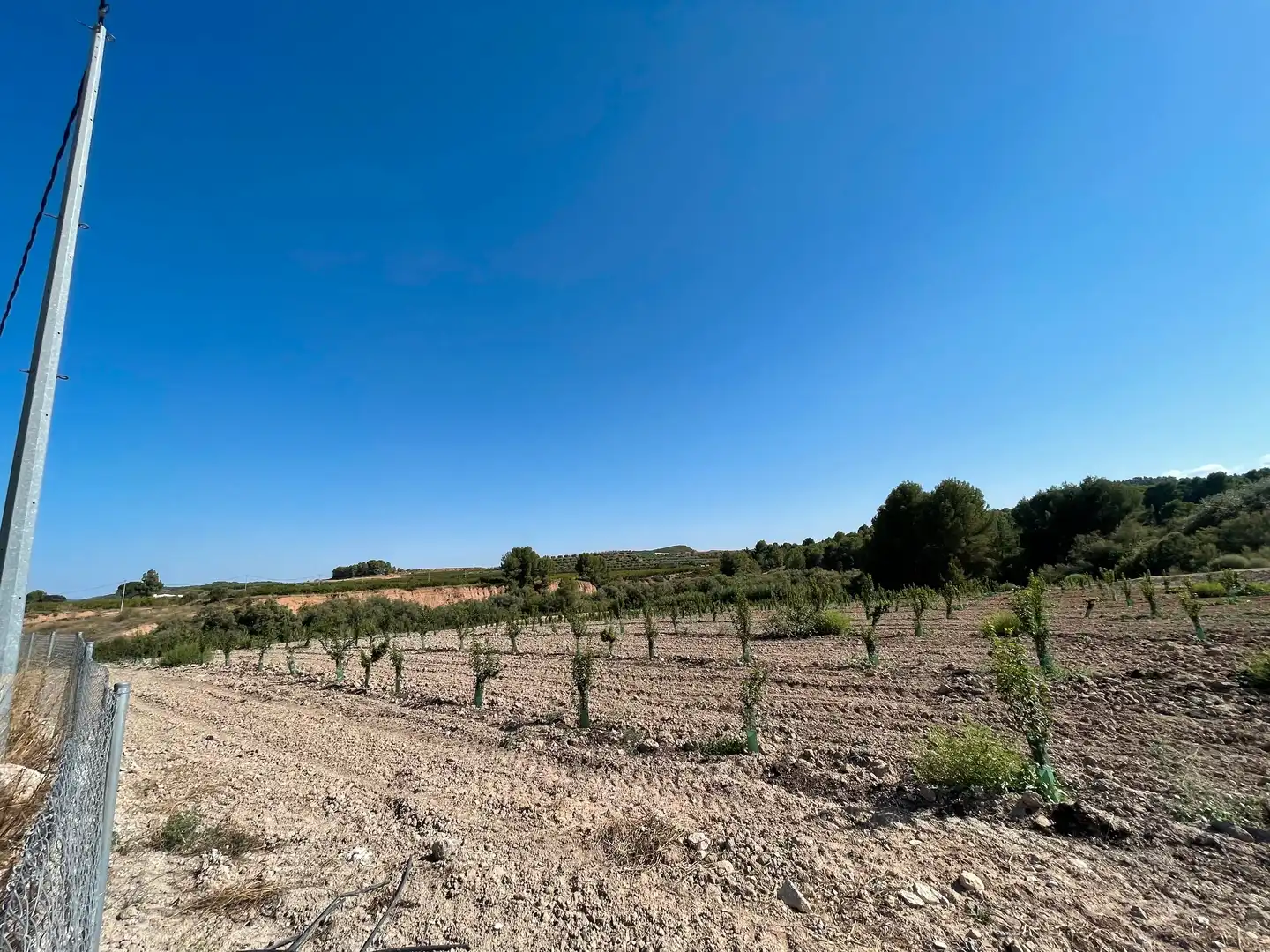 Terreno rustico in vendita a Cehegín, imagen 25