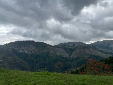 Terrenys i solars en venda a Parres