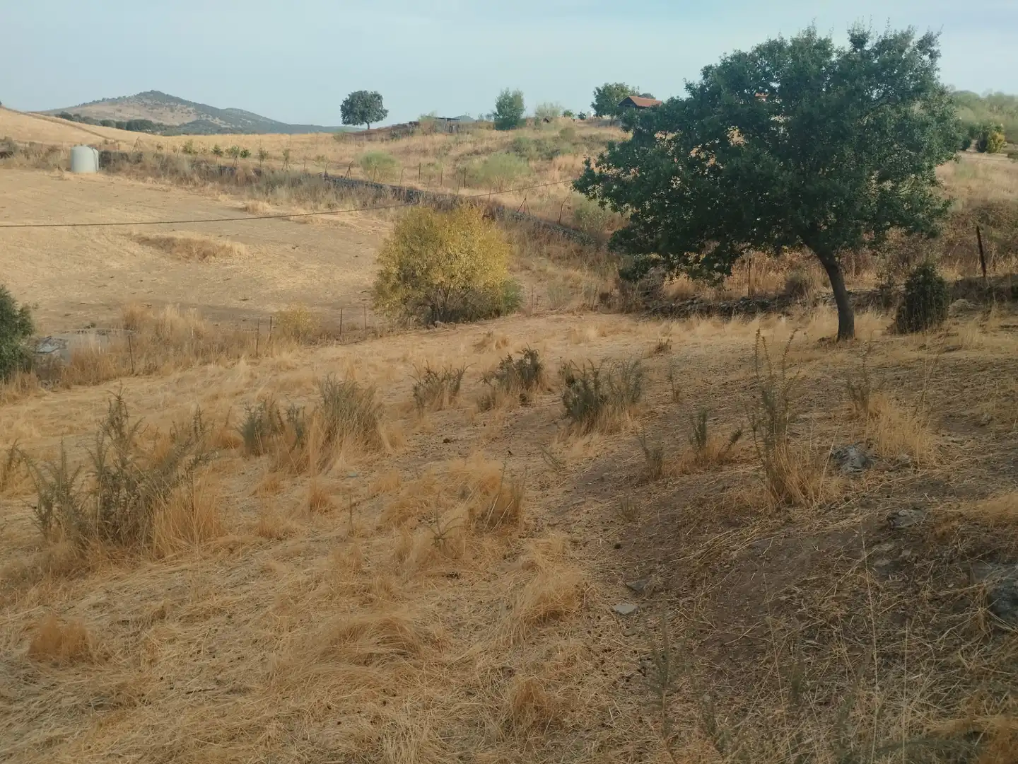 Terreni e lotti in vendita a Jerez de los Caballeros, imagen 19