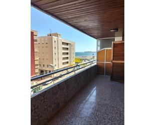 Vista exterior de Apartament de lloguer en Torrevieja amb Balcó