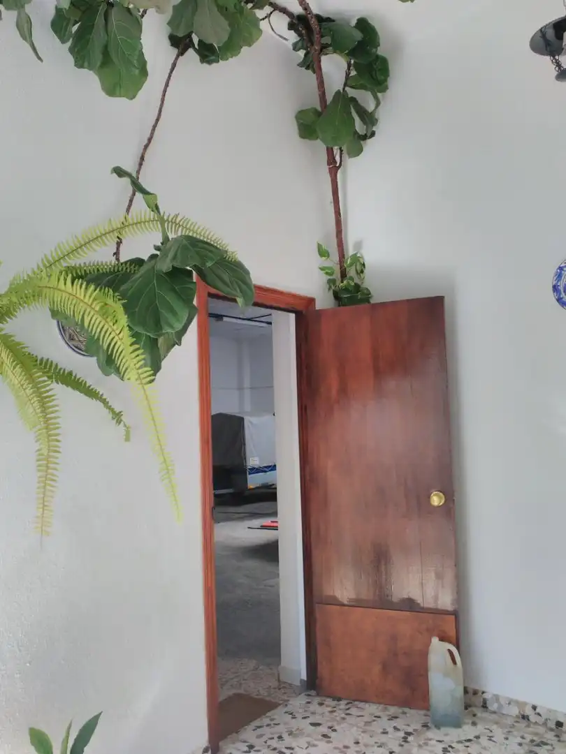 House with terrace for sale in Conil, imagen 27