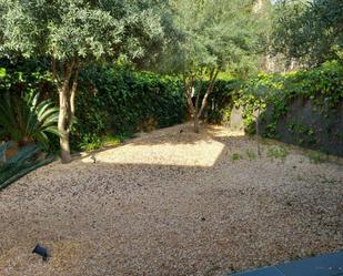 Garden of Single-family semi-detached to rent in Sant Andreu de Llavaneres  with Air Conditioner and Balcony