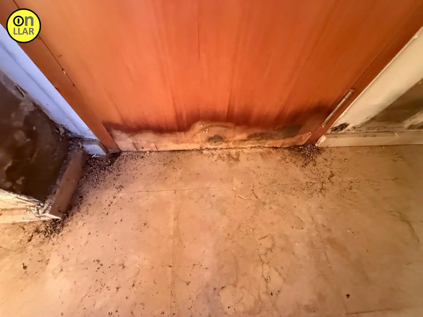 Maison avec piscine à vendre à Calle TOMAS BRETON, imagen 38