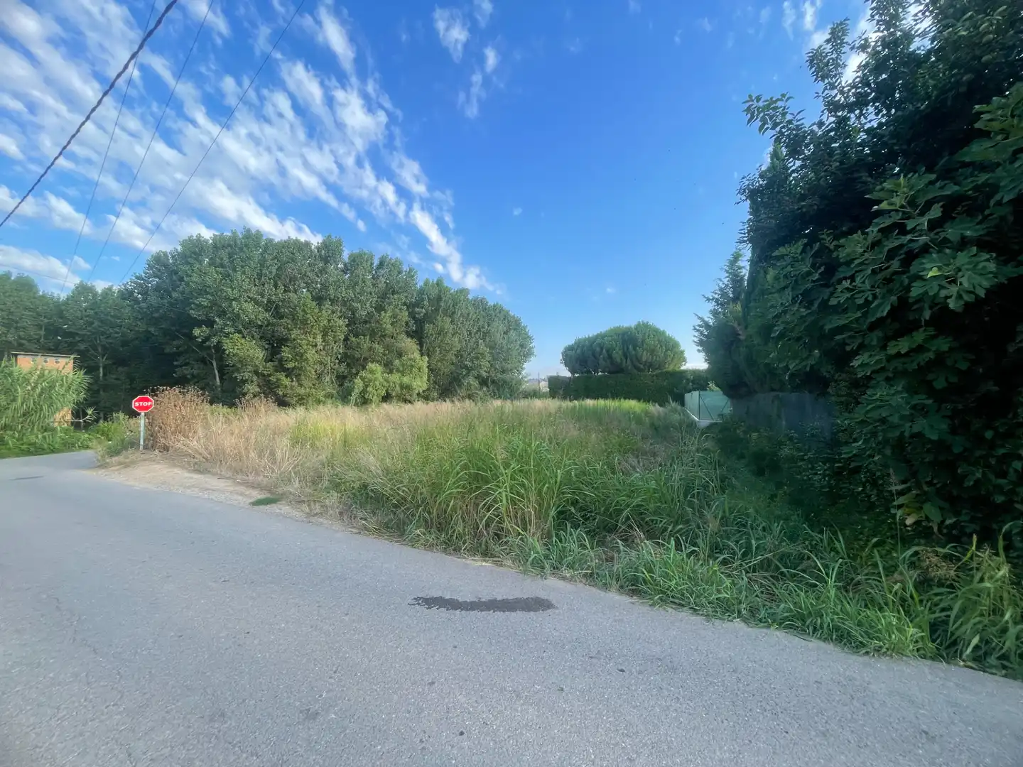 Rural land for sale in Balaguer, imagen 3
