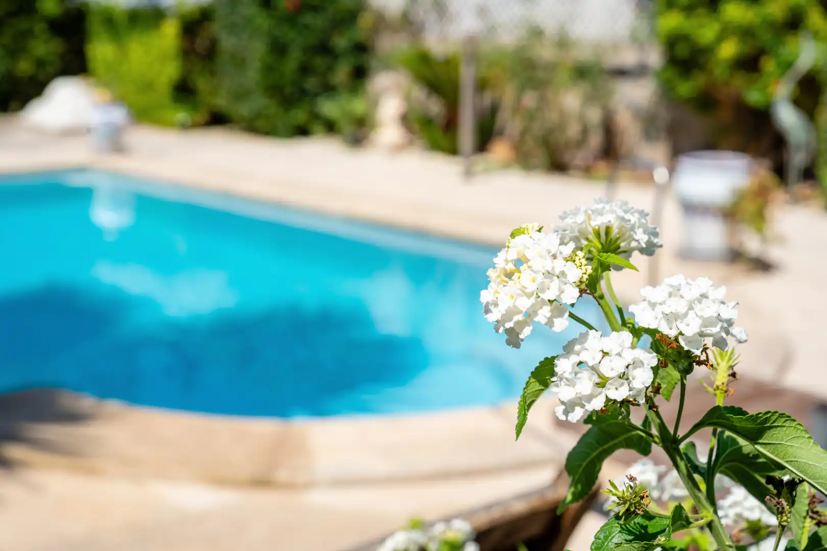 Maison avec piscine à vendre à Muro, imagen 30