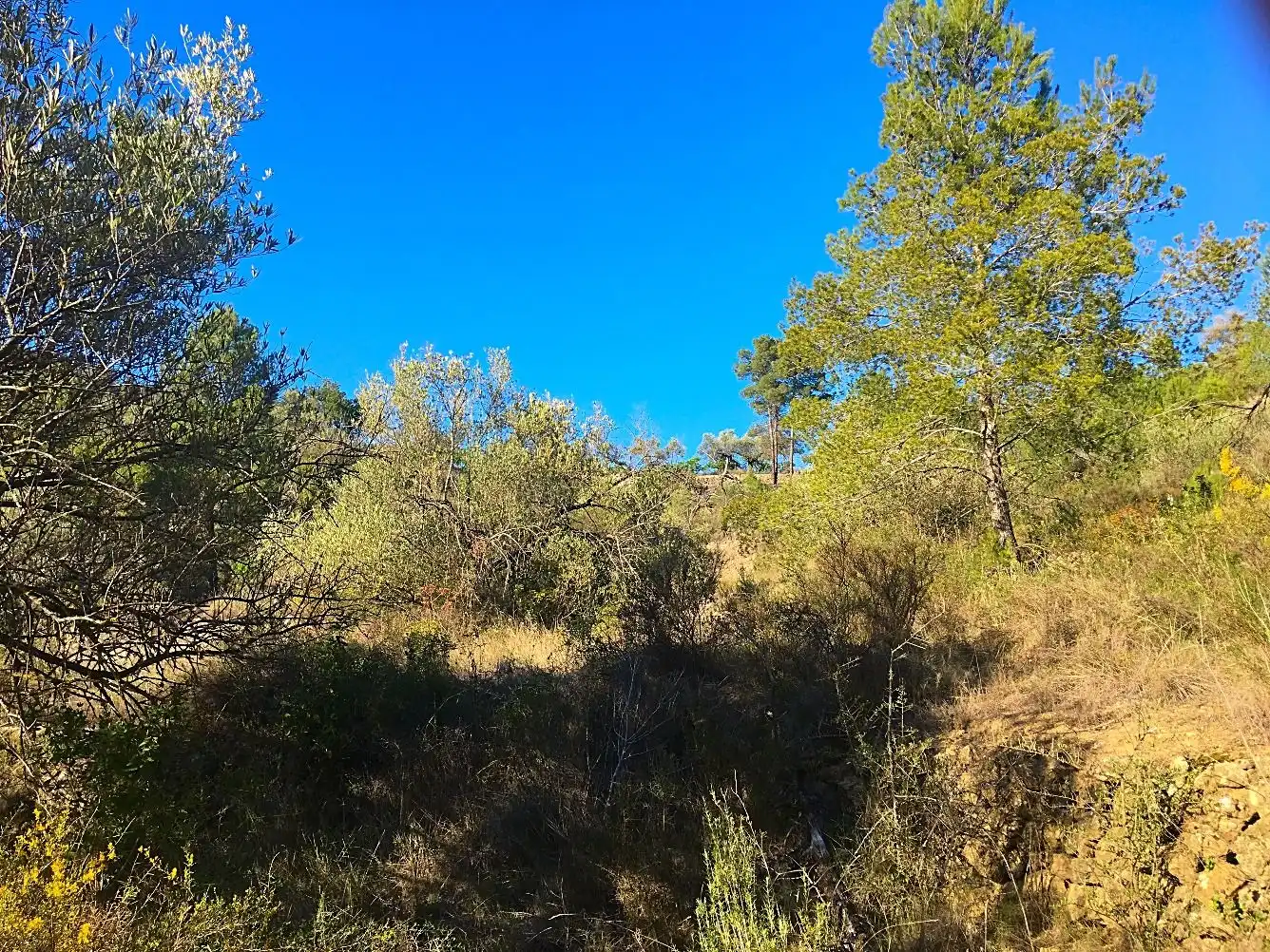 Terrain rustique à vendre à Benifallet, imagen 17