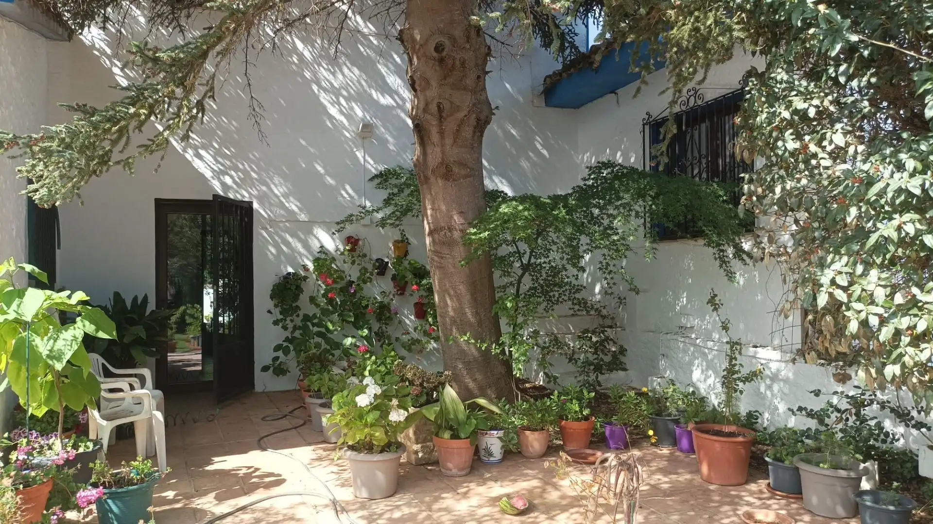 Garden of Country homes for sale in Ronda  with Heating, Private garden and Terrace
