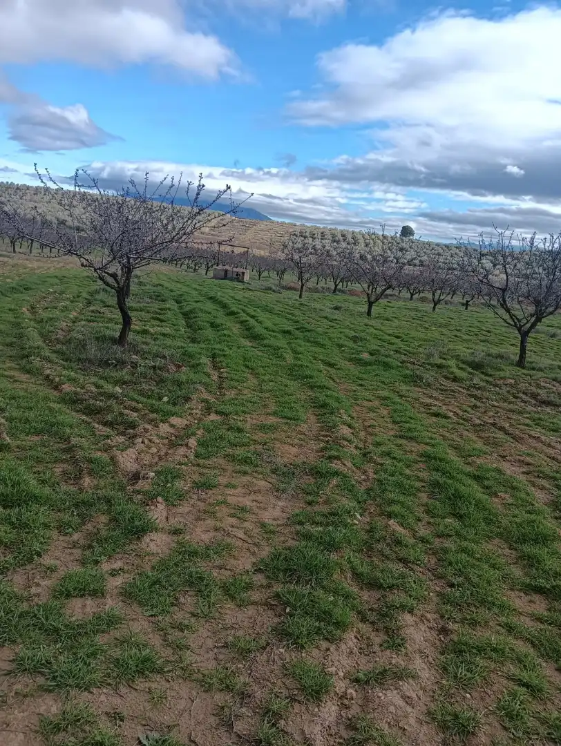 Finca rústica en venta en Cuevas del Campo con Jardín privado, Parquet y Terraza