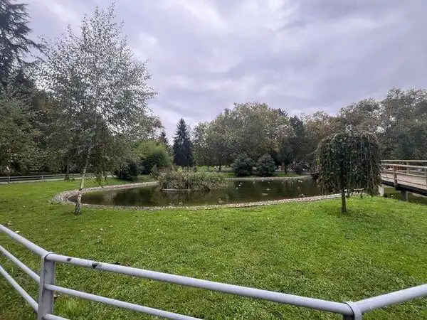 Gewerbefläche zur Miete in Calle Daniel Alvarez Gonzlez 26, imagen 50