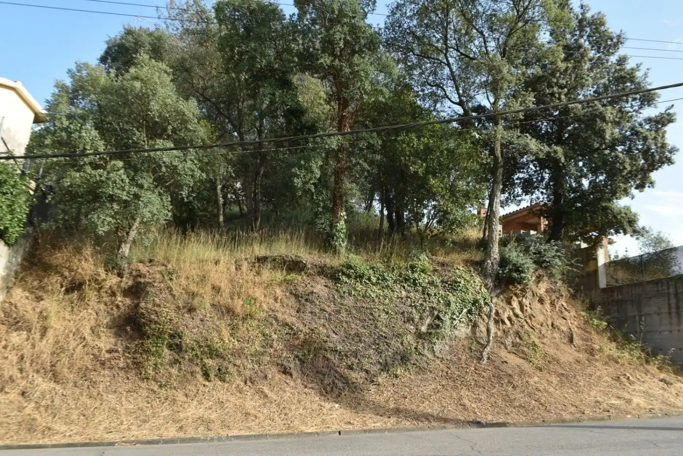 Terreny residencial en venda a Sant Feliu de Buixalleu, imagen 3