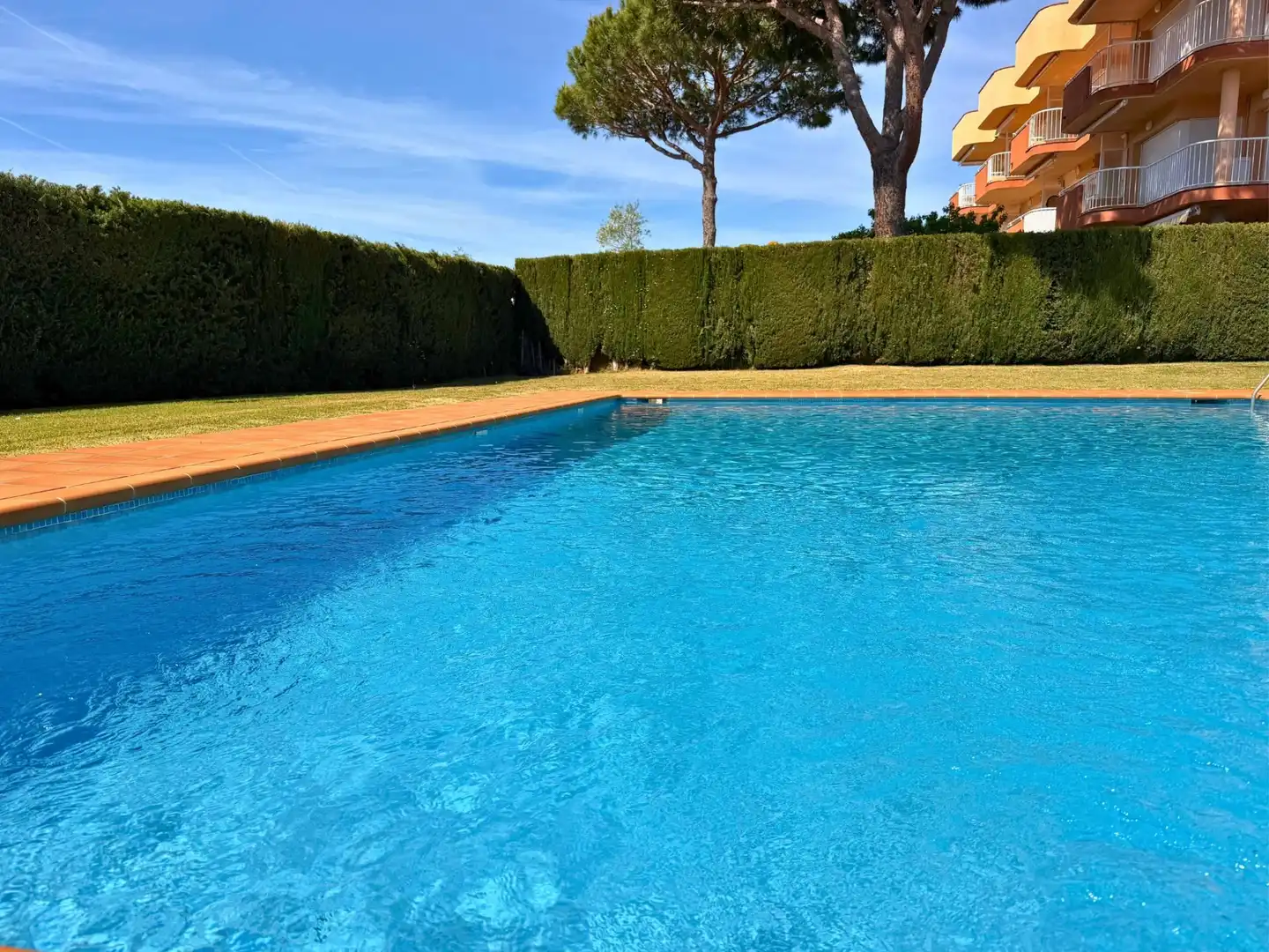 Apartament amb piscina en venda a Carrer Puig del Molí 11, imagen 29