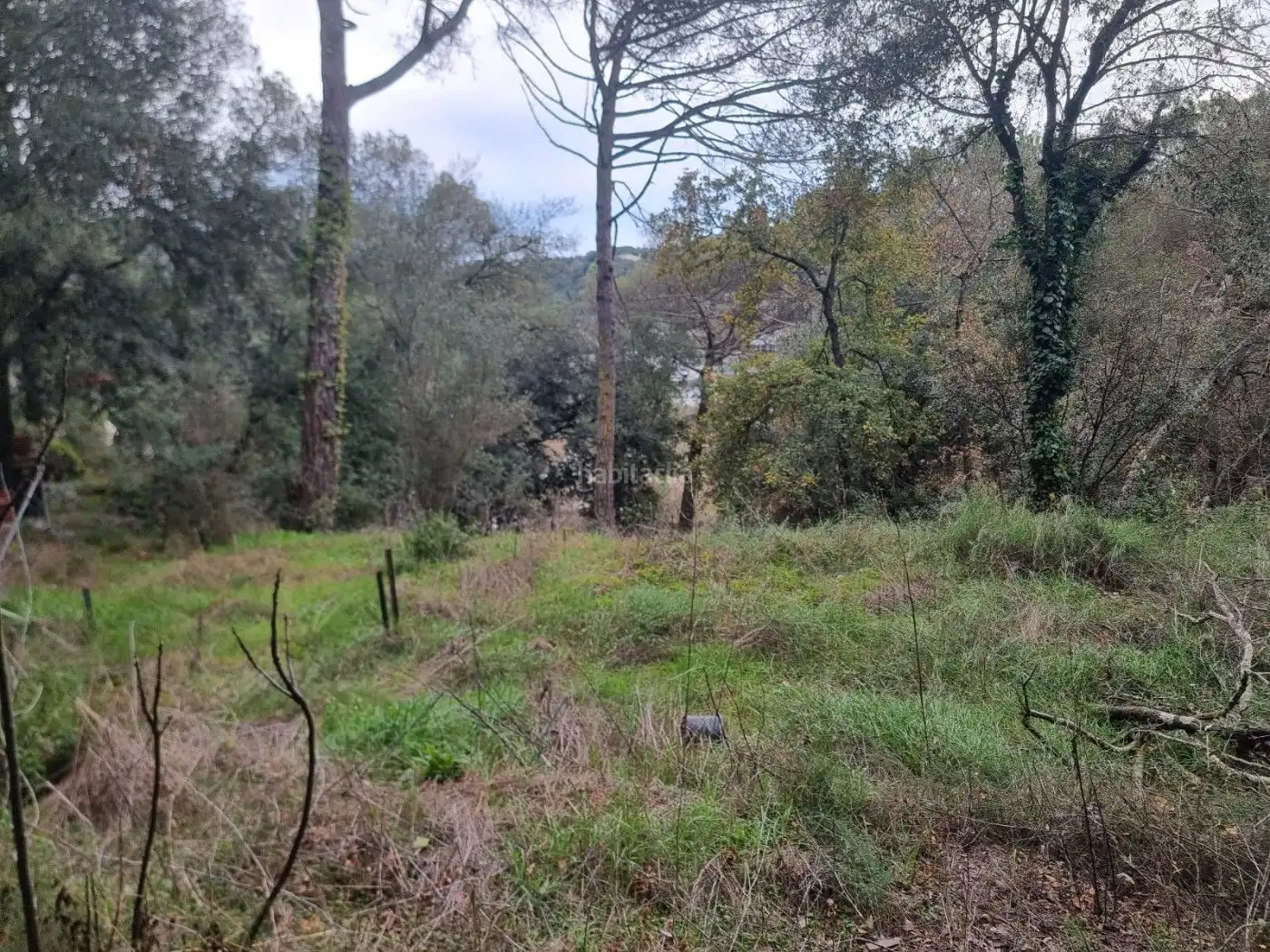 Residential for sale in Canyamars